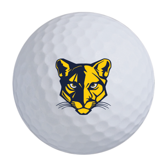 Wilson Ultra Distance Golf Balls