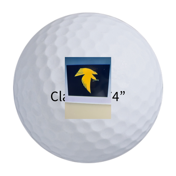 Bridgestone e6 Golf Balls