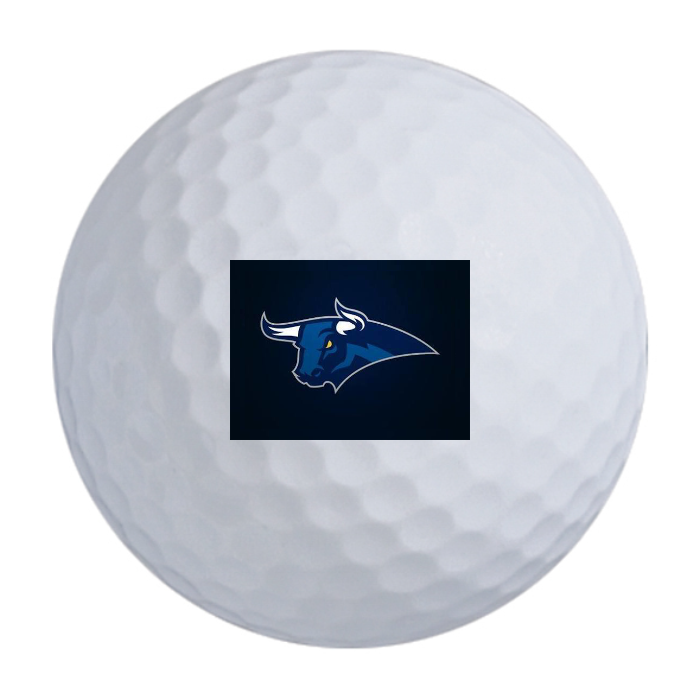 Bridgestone Tour B XS MindSet Golf Balls