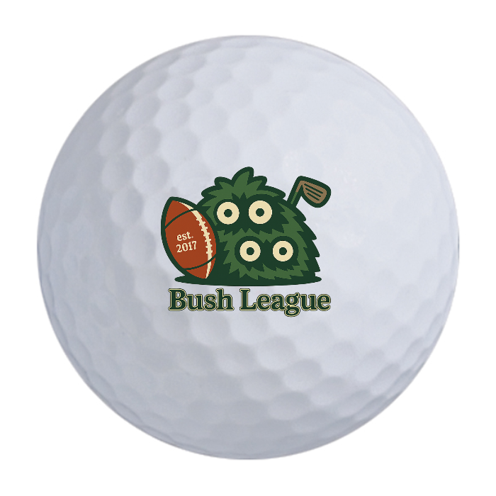 Bridgestone e6 Golf Balls