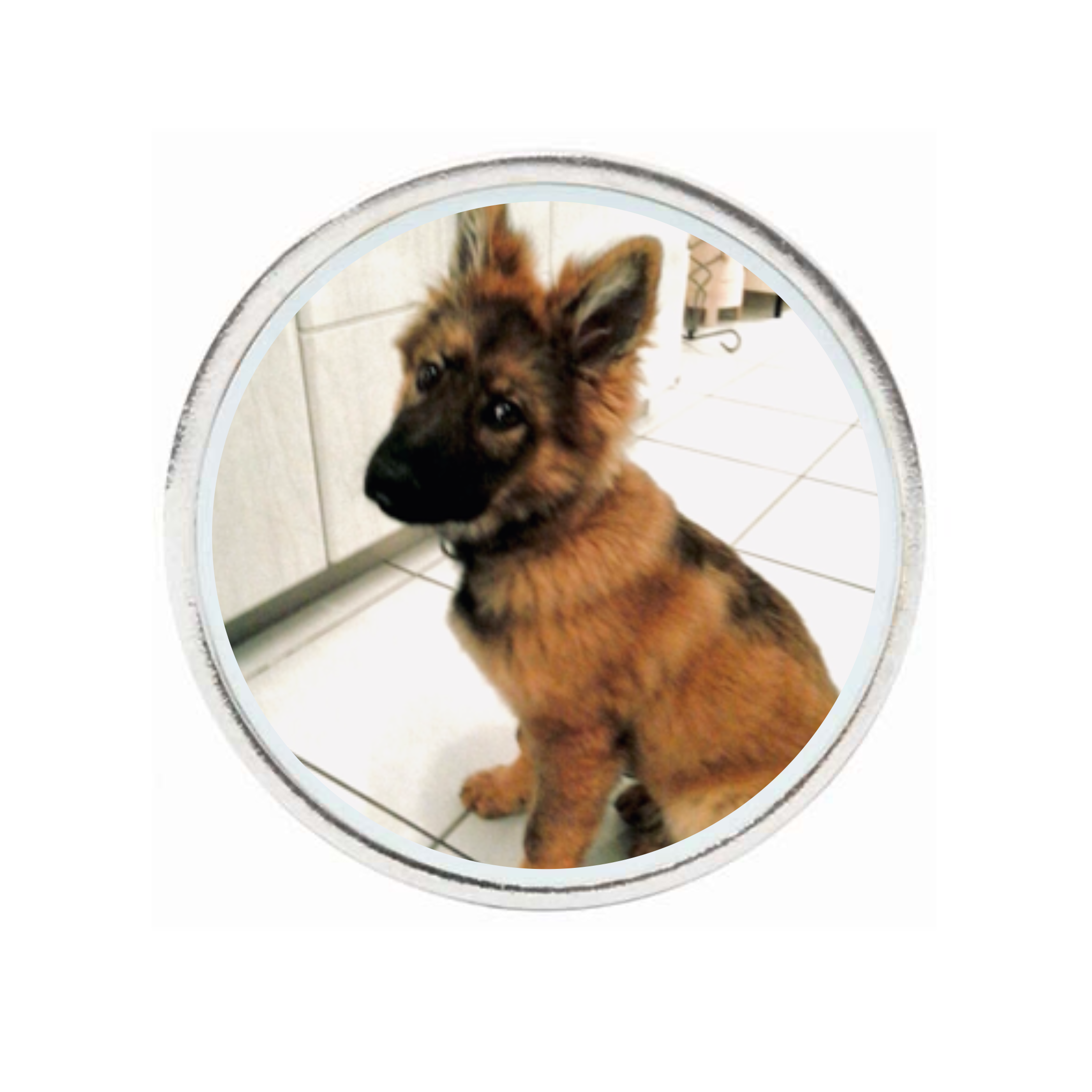 10 Pack Silver Ball Markers