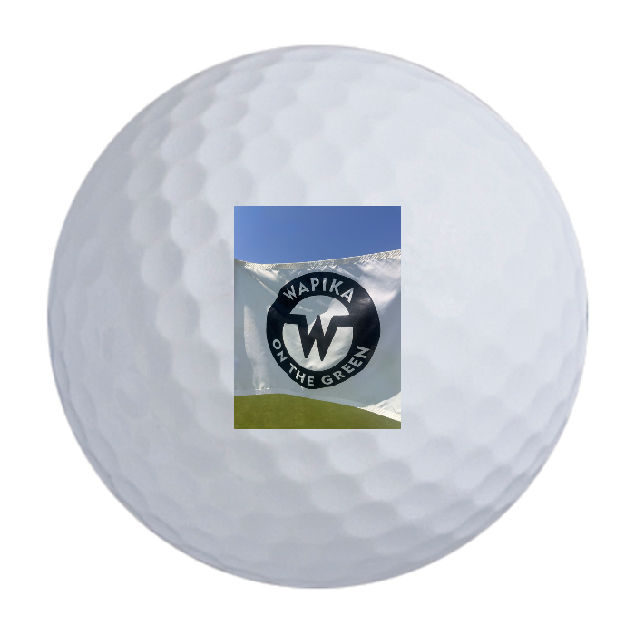 Bridgestone e9 Long Drive Golf Balls