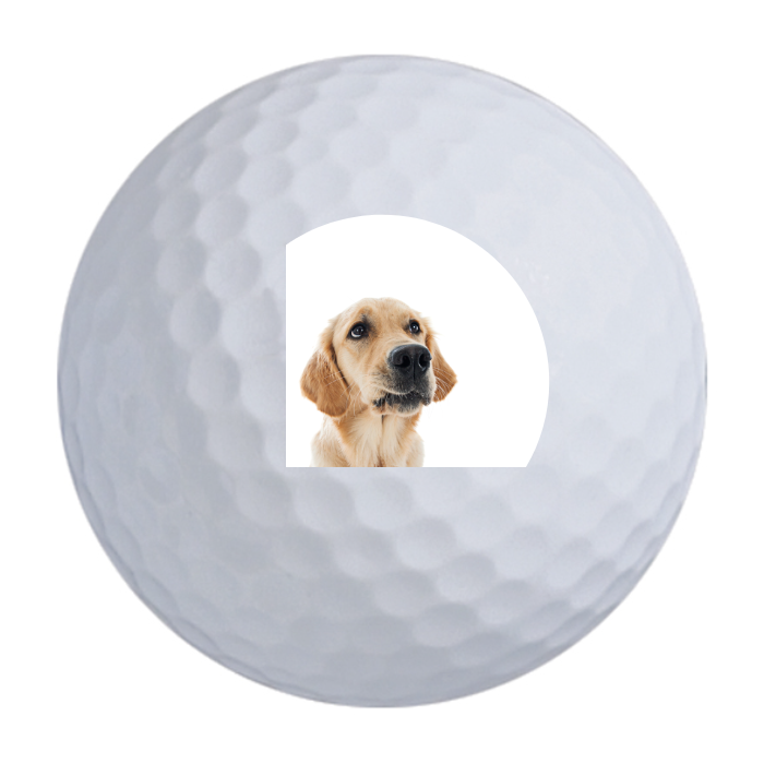 Bridgestone e6 Golf Balls