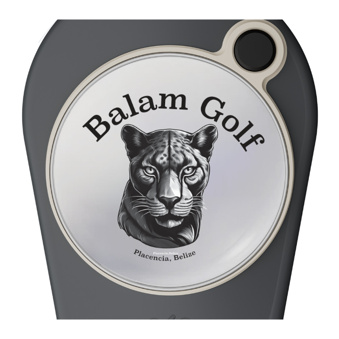 Pitchfix Original Divot Tool with Custom Ball Marker (Gunmetal)