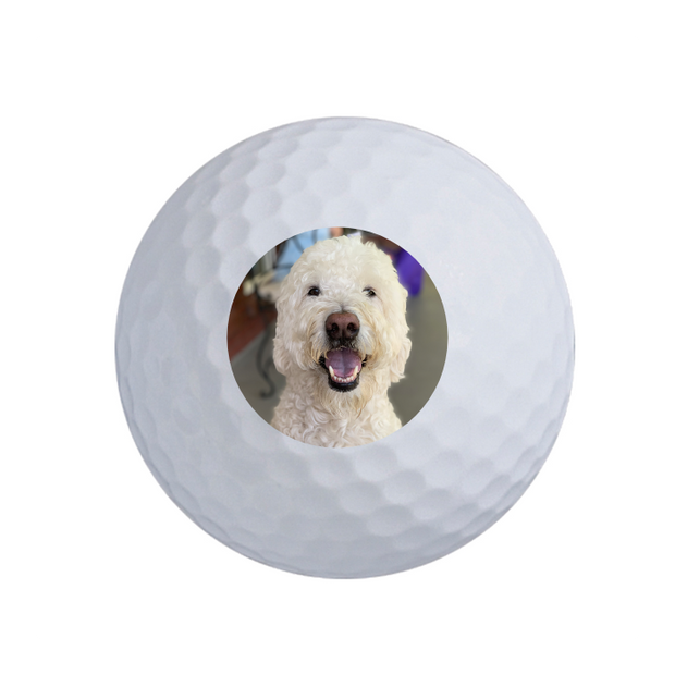 Value Golf Balls White