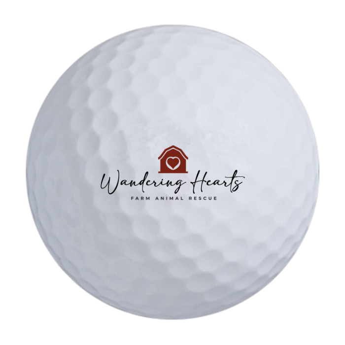 Nitro Maximum Distance Golf Balls