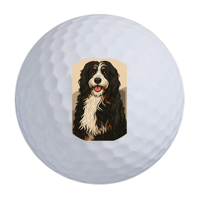 Bridgestone e12 Straight Golf Balls