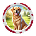 7 Poker Chip Ball Markers