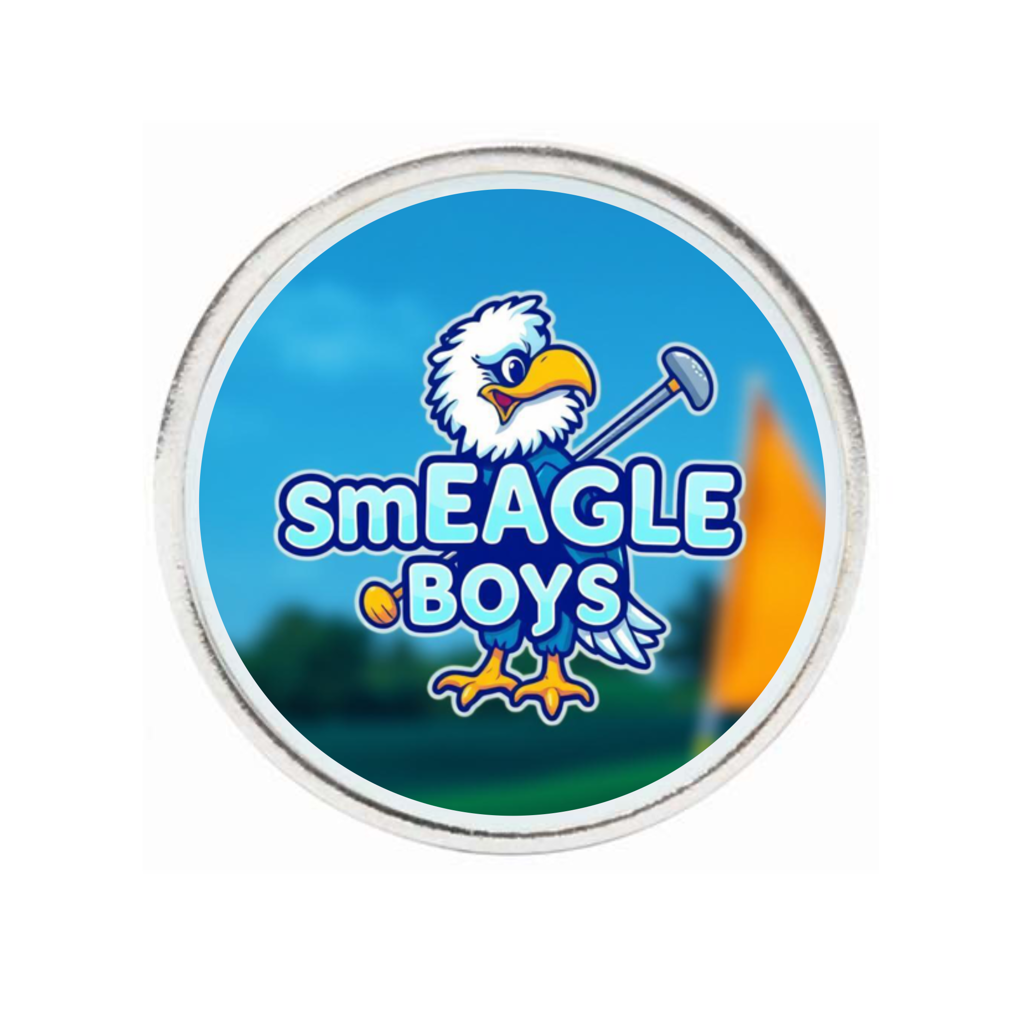 10 Pack Silver Ball Markers