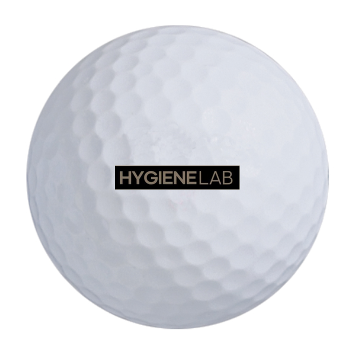 Bridgestone e6 Golf Balls