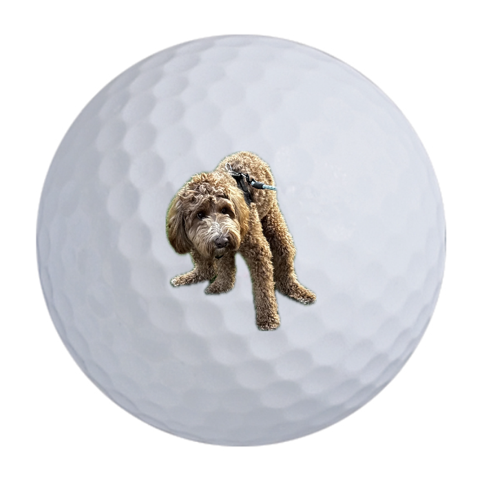 Bridgestone e6 Golf Balls