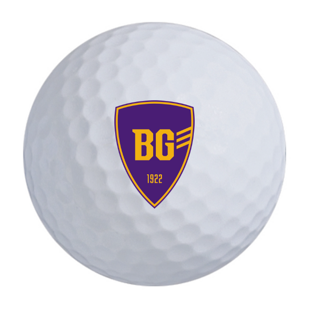 Bridgestone e6 Golf Balls