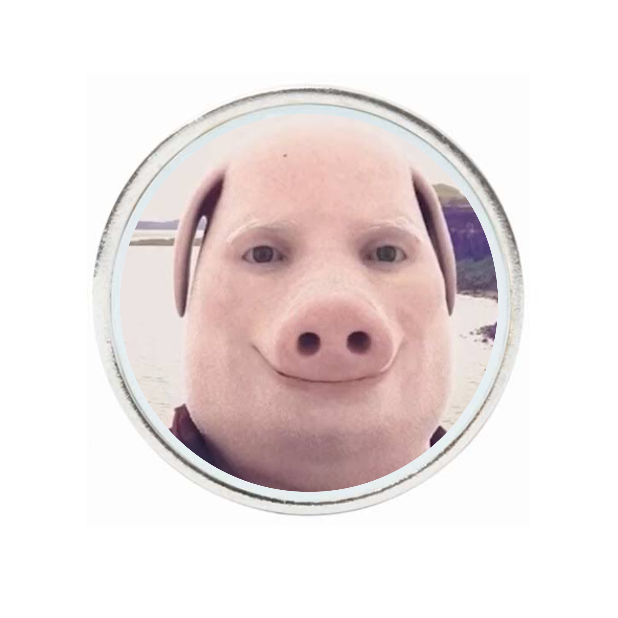 10 Pack Silver Ball Markers