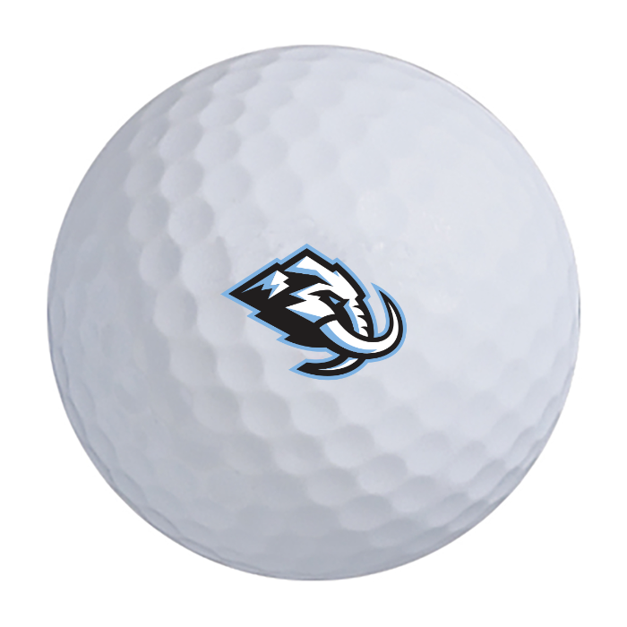 Titleist Pro V1 Golf Balls