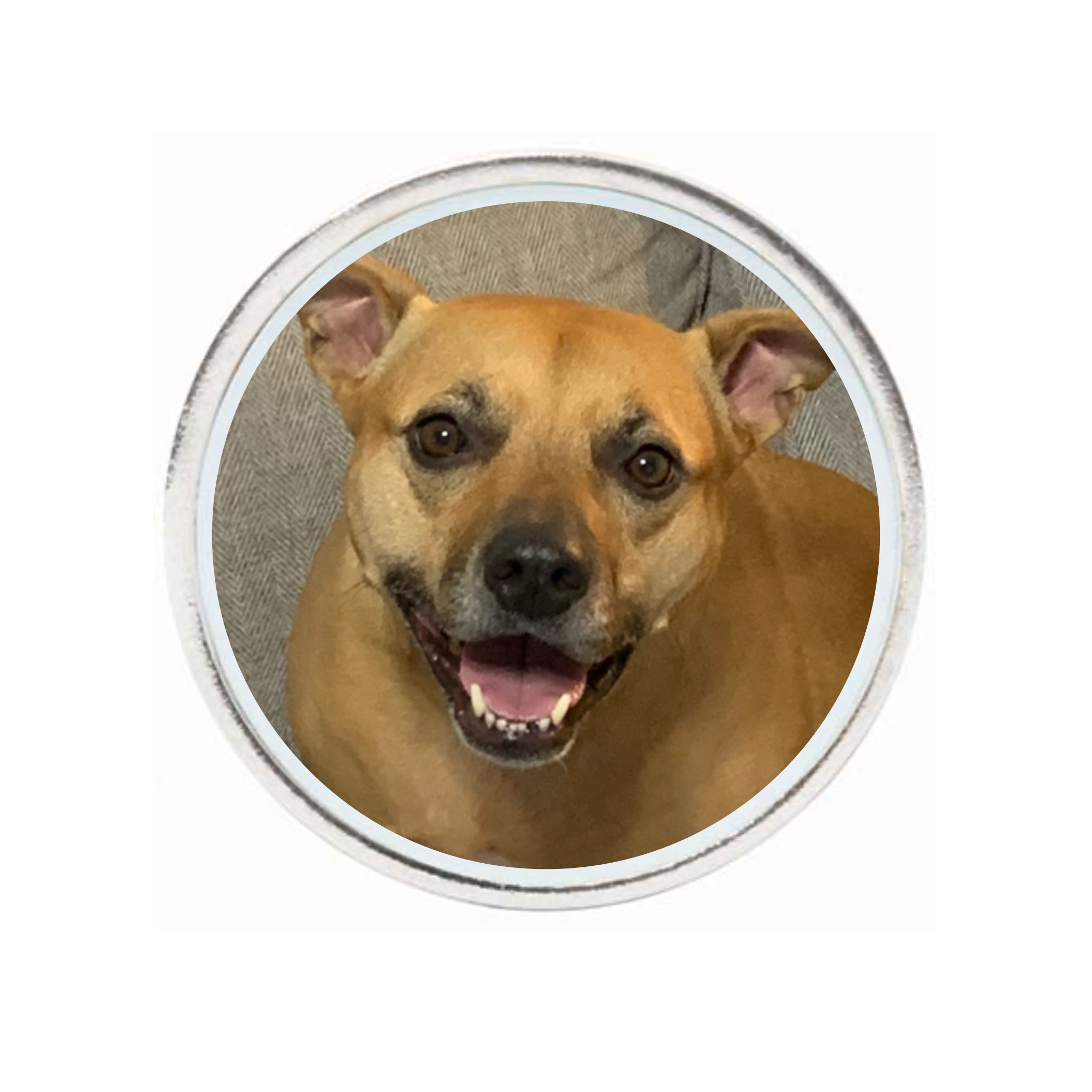 10 Pack Silver Ball Markers