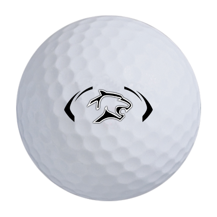 Bridgestone e6 Golf Balls