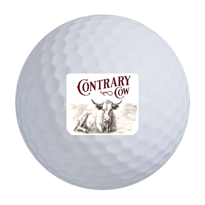 Bridgestone e6 Golf Balls