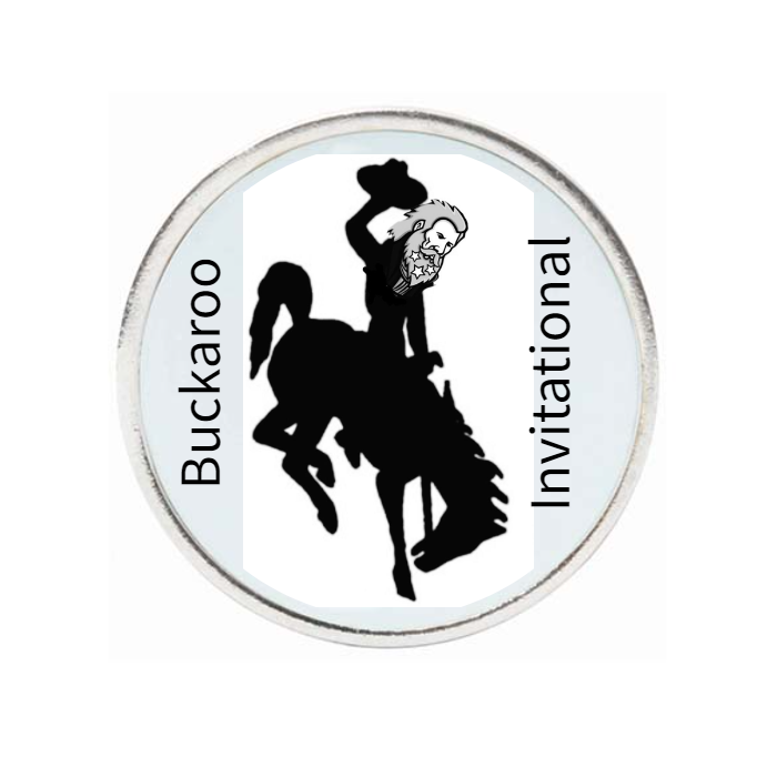 10 Pack Silver Ball Markers