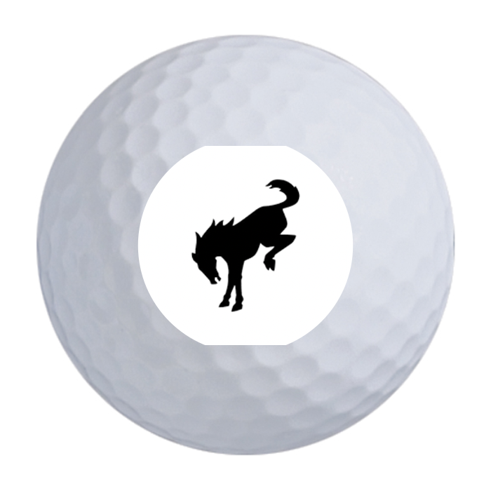 Srixon Q-Star Ultispeed Golf Balls