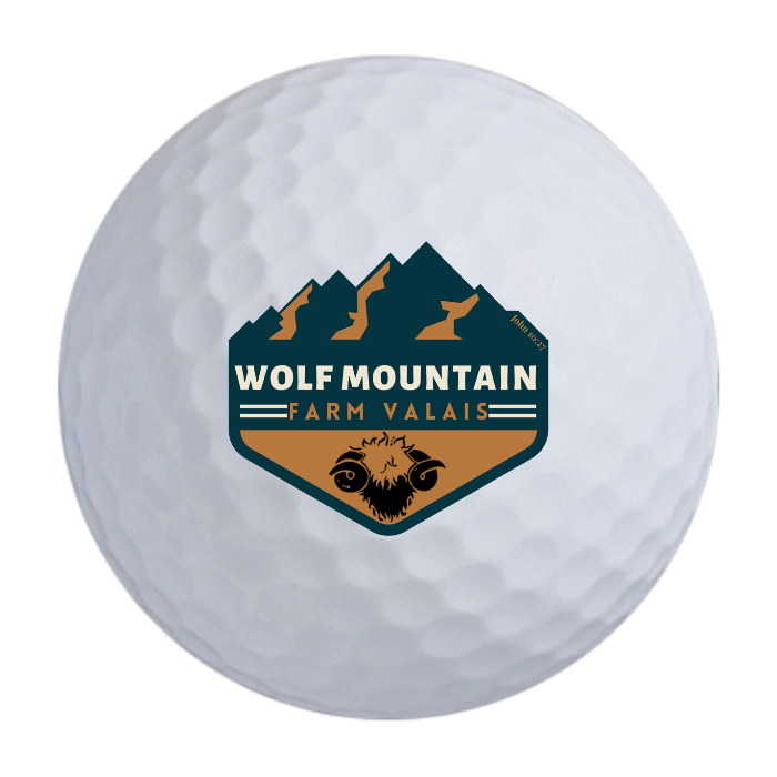 Bridgestone e9 Long Drive Golf Balls