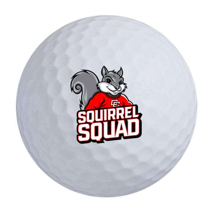 Bridgestone e9 Long Drive Golf Balls