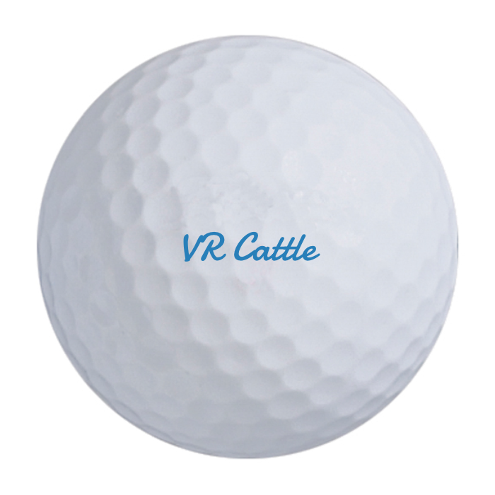 Bridgestone e9 Long Drive Golf Balls