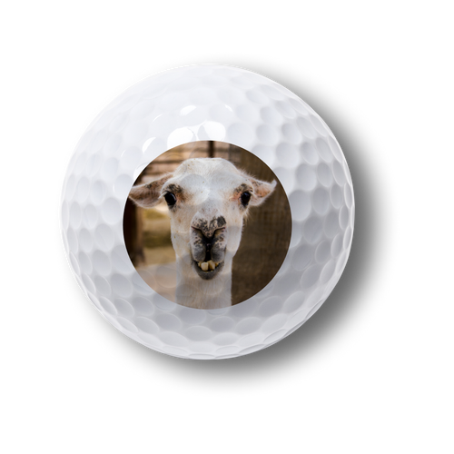 GOLF JUST GOT PERSONAL