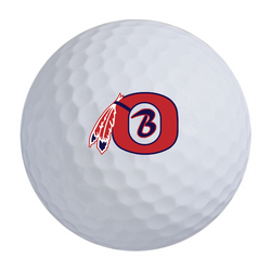 Boston Red Sox Golf Equipment, Footballs, Red Sox Golf Accessories