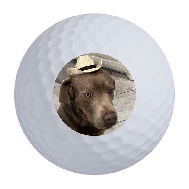 Titleist Pro V1 Golf Balls One Dozen