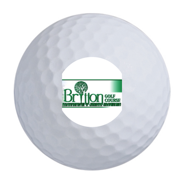Spalding Molitor Golf Balls - 15 BALL PACK