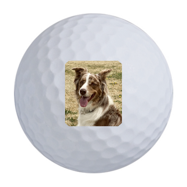 Titleist Pro V1 Golf Balls One Dozen